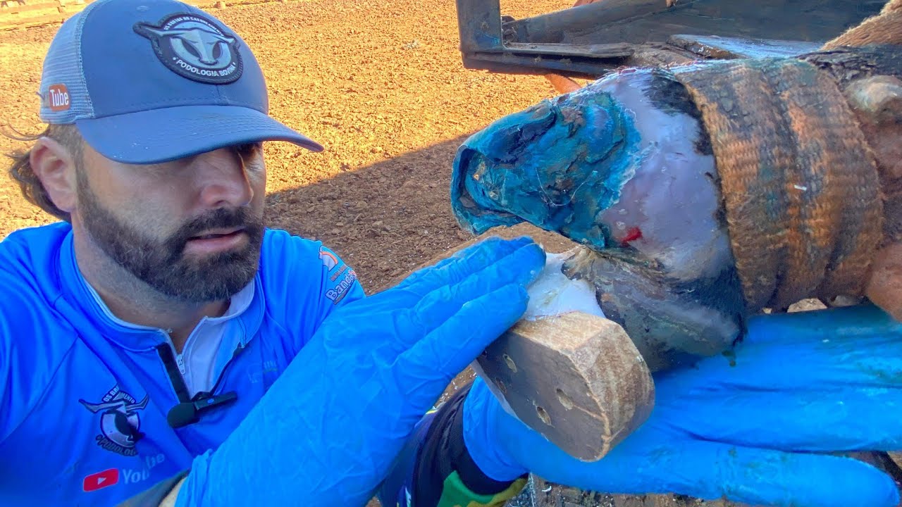 Ele pulava de dor...