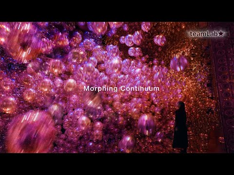 Morphing Continuum