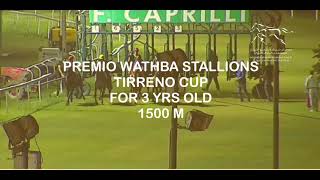 PREMIO WATHBA STALLIONS TIRRENO CUP - IPPODROMO CAPRILLI LIVORNO   |   03/09/2023