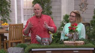 Plow & Hearth Galvanized Metal Animal Planter on QVC