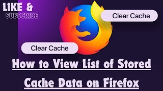 How to View List of Stored Cache Data on Firefox
