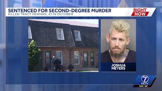 Lincoln man sentenced after taking plea deal in girlfriend's killing