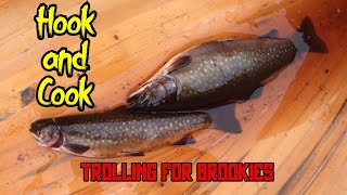 Trolling for Brookies and a Shore Lunch