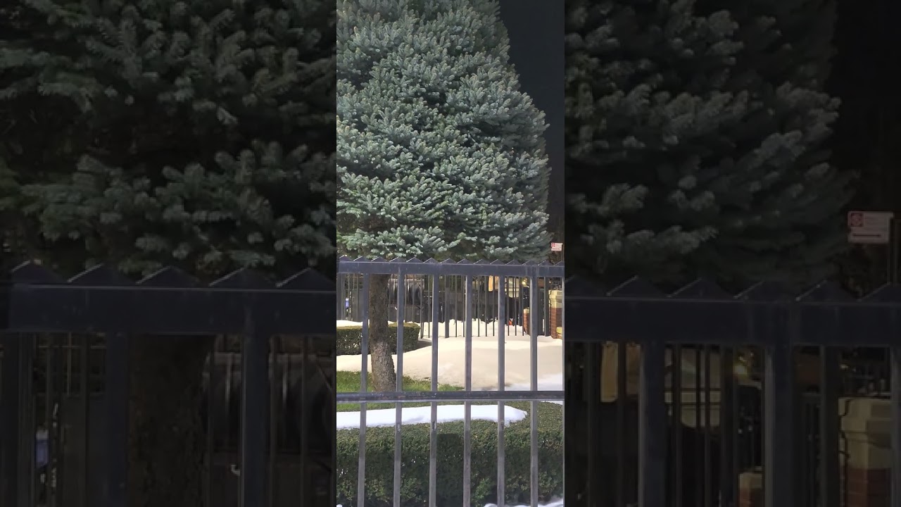 The NY Predators Dept officers hacked my phome to end video so it wouldn't save to phone.