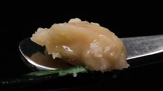 Dutch Hawaiian Live Rosin Dab Tool Melt from Blue River Terps | Budsbie Burns (Ep.31)