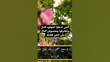 تلاوة خاشعة سورة طه #اكسبلور #تلاوة_خاشعة #سورة_يس #قرآن #القرآن_الكريم#اسلام_صبحي #قران_كريم#الشامي