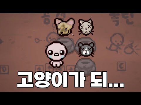 [아이작] 내가 고양이가 되어볼게? 하나 둘 셋 얍!!!!!!!!!!