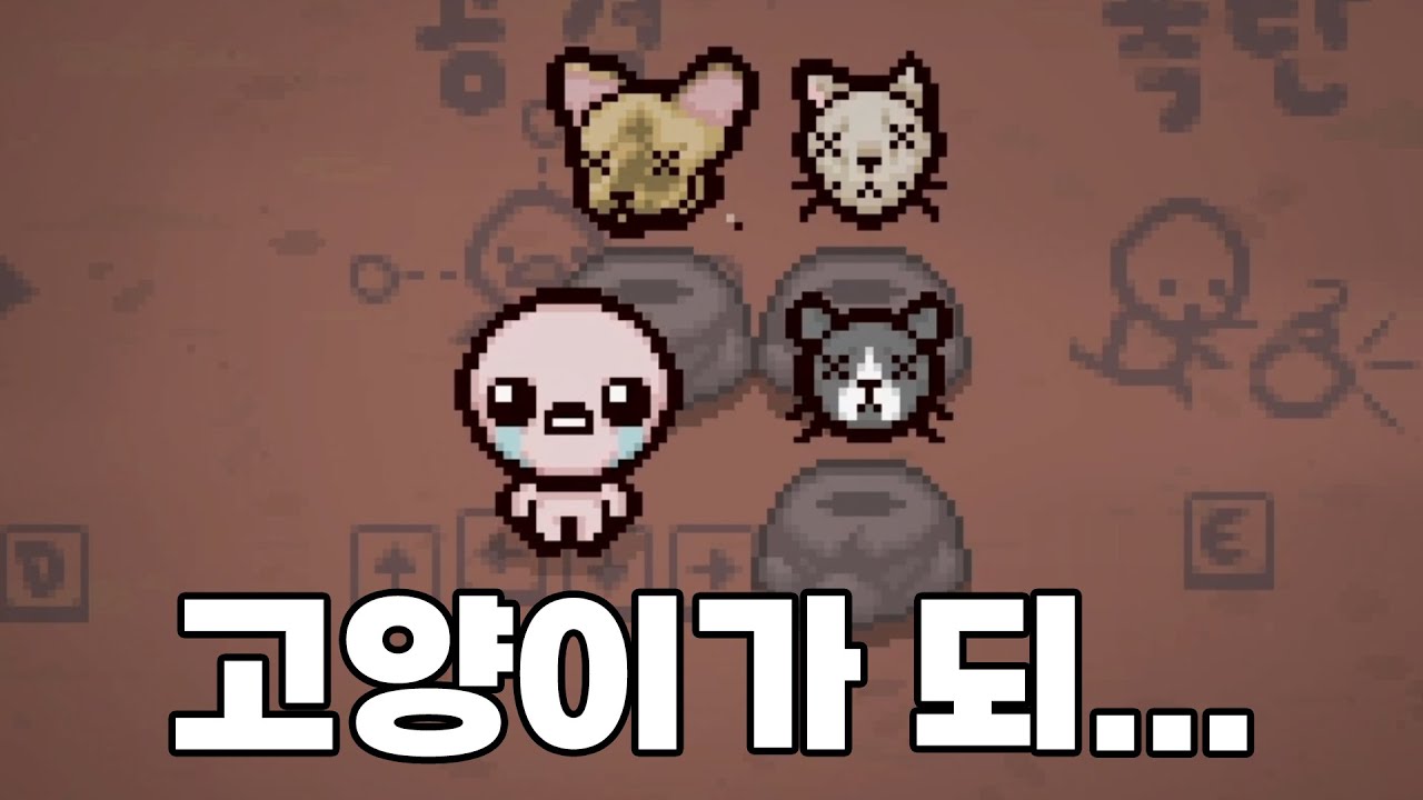 [아이작] 내가 고양이가 되어볼게? 하나 둘 셋 얍!!!!!!!!!!