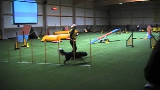 Face 01 03 14 Agility