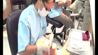 Griffith University School of Dentistry