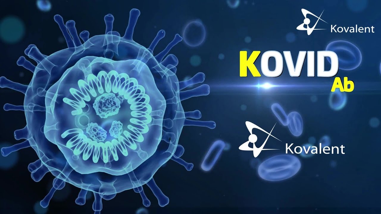 (covid-19) KOVALENT KOVID Ab - Procedimento do teste - YouTube