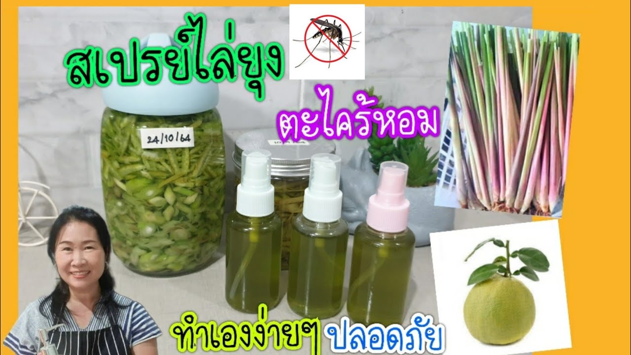 ทำสเปรย์กันยุง สเปรย์ไล่ยุง ตะไคร้หอม เปลือกส้มโอ จากสมุนไพร ปลอดภัยไร้สารเคมี DIYทำใช้เอง