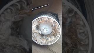 Hvac blower motor 2005 Buick LeSabre replacement