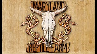 MD Reptile Farm - Promo