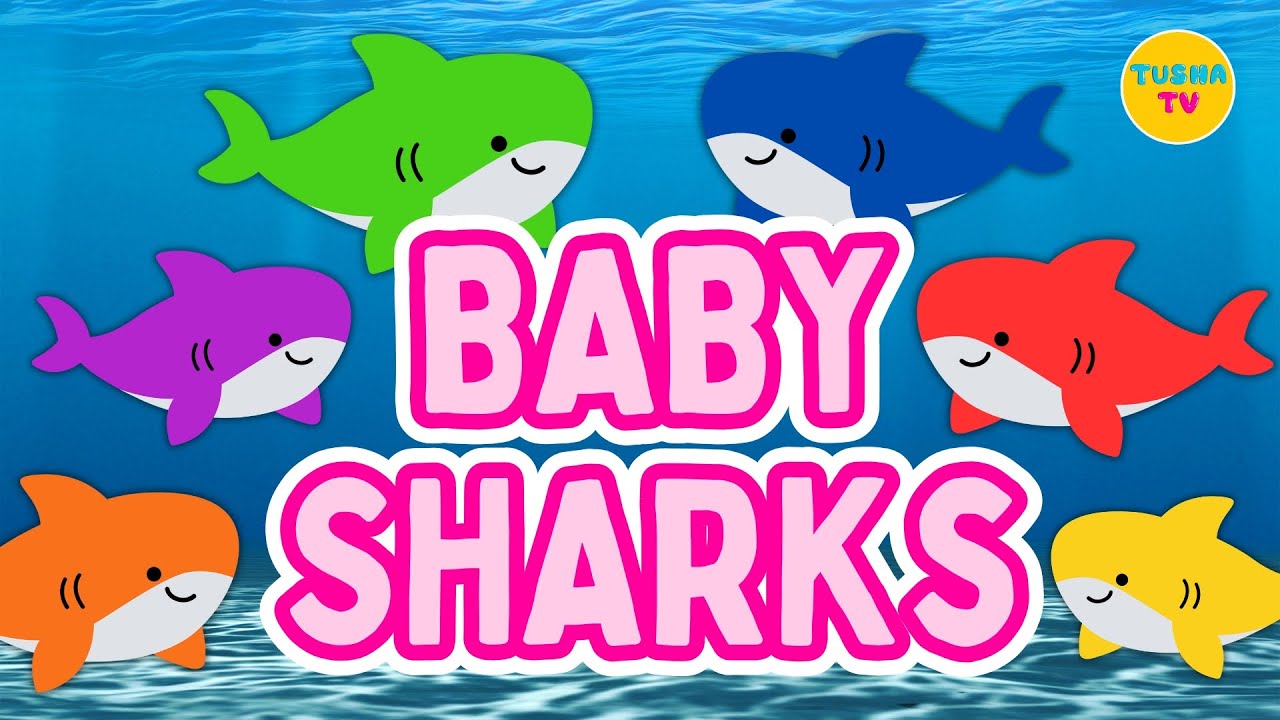 Baby Shark Colors | Learn Colors for Kids | Baby Shark | Tusha TV - YouTube