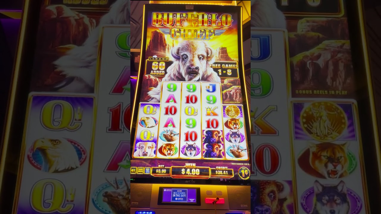 casinos near albuquerque 3 GIANT COINS! HUGE WIN on Buffalo Chief shorts