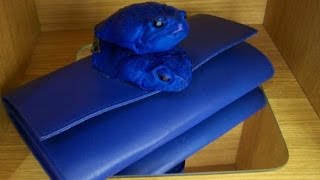 Polish Designer Turns Cane Toads into Fashion Accessories