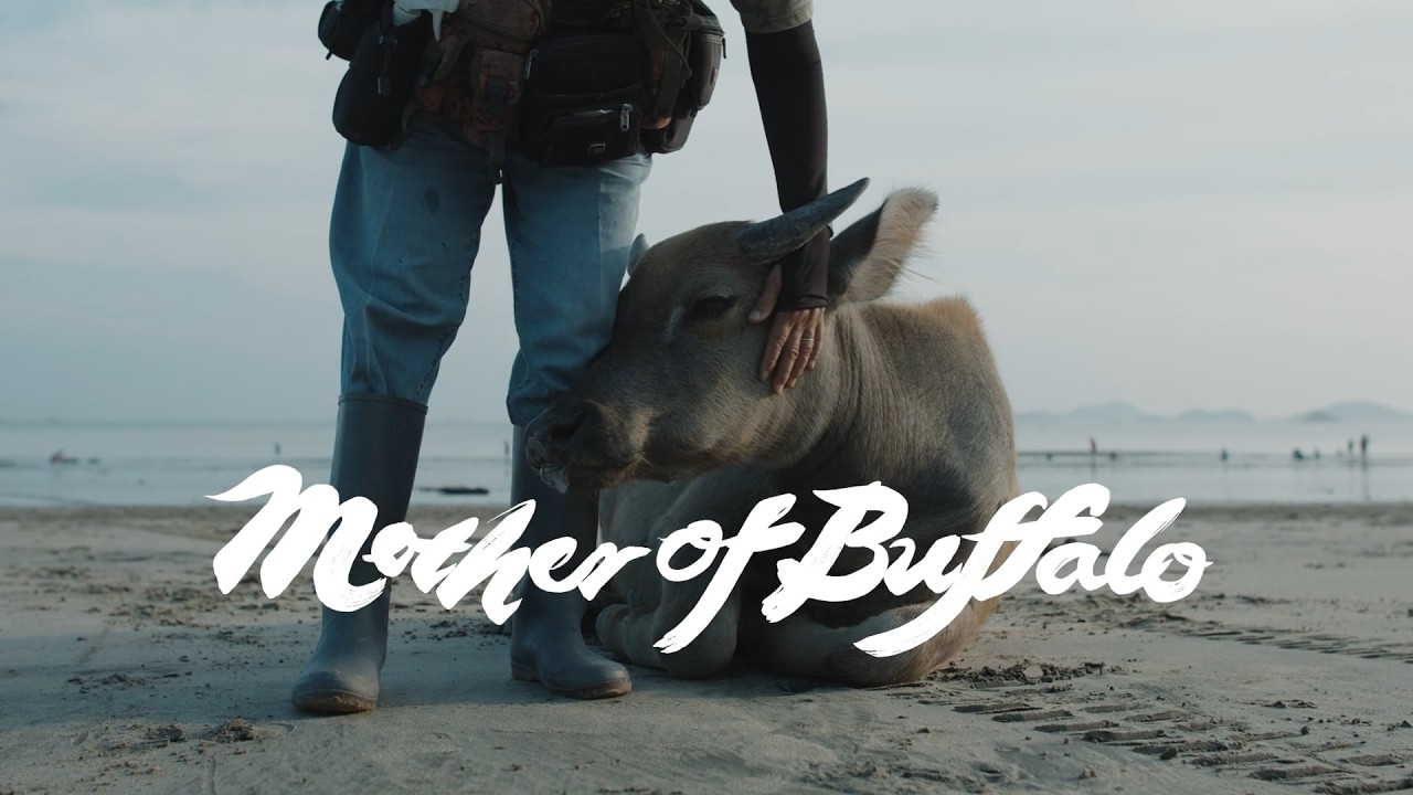 Mother of Buffalo — Official Trailer