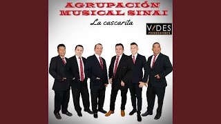 Video thumbnail of "AGRUPACIÓN MUSICAL SINAI - El Toco a Mi Puerta"