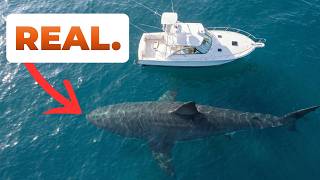 What the BIGGEST Animals Ever Actually Looked Like!