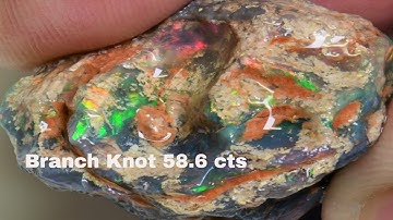 58.6 cts Australian Opal Rough, Lightning Ridge Fossil