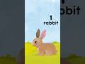 Counting numbers for kids #shorts