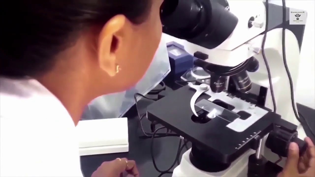 Faculty of Agriculture & Plantation Management YouTube