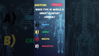 Which Type of Muscle Is Under Voluntary Control? 💪 | Human Anatomy Quiz #shorts #science