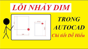 Lỗi Nhảy Dim Trong Autocad - Nhảy Dim Khi Di Chuyển Đối Tượng