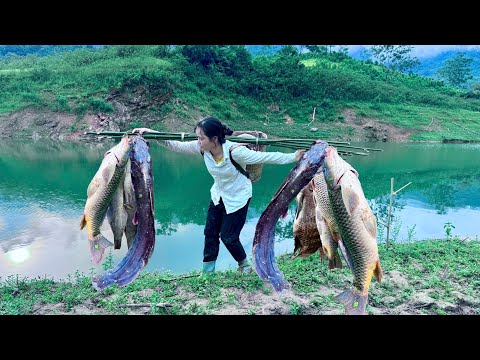Girl ancient fishing skills helped him catch a large school of fish to sell at the market.