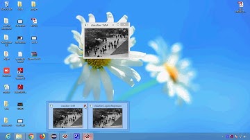 Video Anomaly Detection With Sparse Coding Inspired Deep Neural Networks