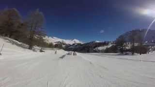 VARS D1