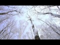 「初雪」