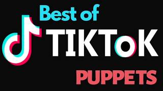 Best of Tik Tok Puppet Edition