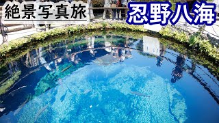 【山梨旅行】忍野八海の8つの池を全部周ってみたら絶景に出会えた,湧水地の名水百選- Mt.Fuji spring water,Oshino Hakkai