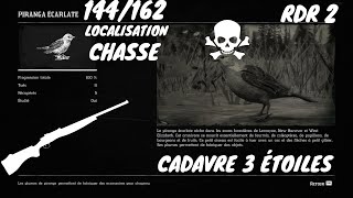 Tout Les Animaux: 144/162  Le Piranga écarlate (Localisation) Red Dead Redemption 2