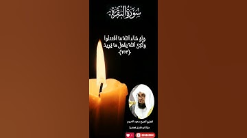 حفظ ومذاكرة الآية ٢٥٣ و ٢٥٤ من سورة البقرة صفحة ٤٢ من القرآن الكريم 🎧