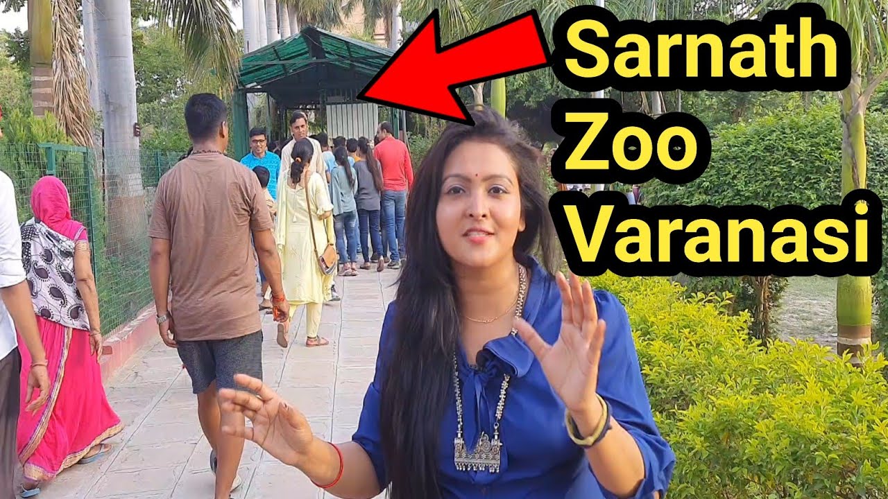 Sarnath Zoo सारनाथ चिड़ियाघर sarnath varanasi By Saigal Vlogs