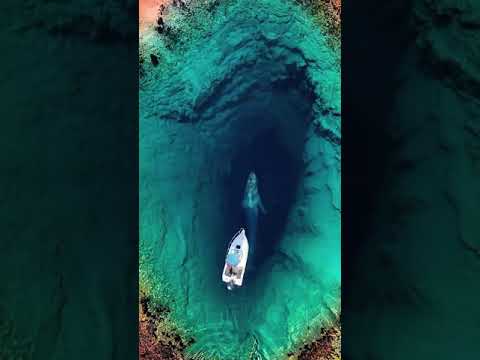 الصوت لحالة رعب