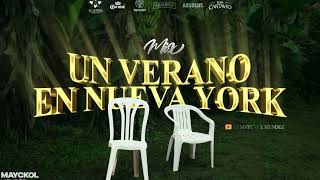 Un Verano En Nueva York | DTFM - CAPAZ - CAMARA LENTA - OTROS