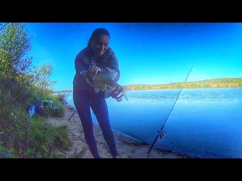 Видео: РЫБАЛКА НА ДОНКИ. почему я ловлю на ТВЕРСКУЮ ПЛОСКУЮ. на САЛО клюет. Russian fishing