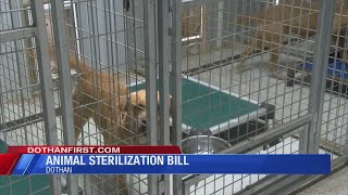 ANIMAL SHELTER
