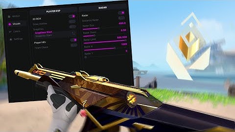 TOP 1 VALORANT PLAYING for first time WITH DMA CHEAT ft. Zeroday