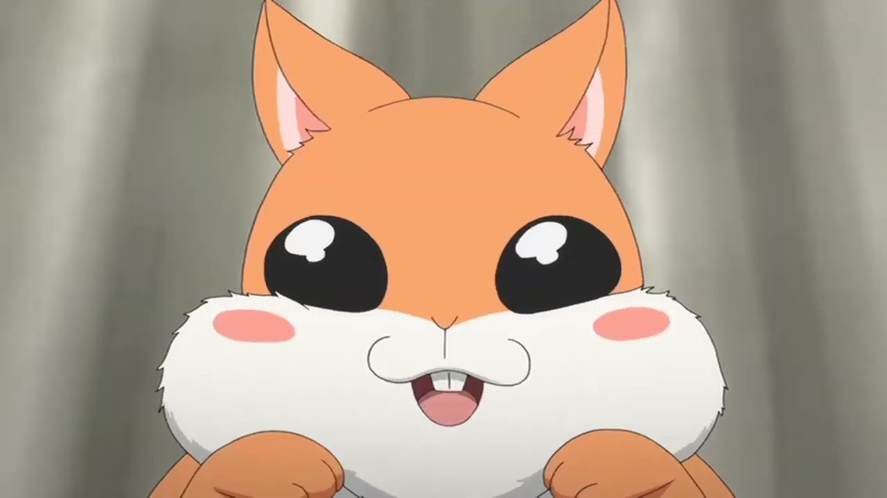 Yona of the Dawn Squirrel Anime Manga Chibi, squirrel, television, mammal  png | PNGEgg