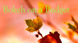 Bokeh on a Budget screenshot 3