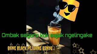 Editan Lirik Lagu Ombak Segoro