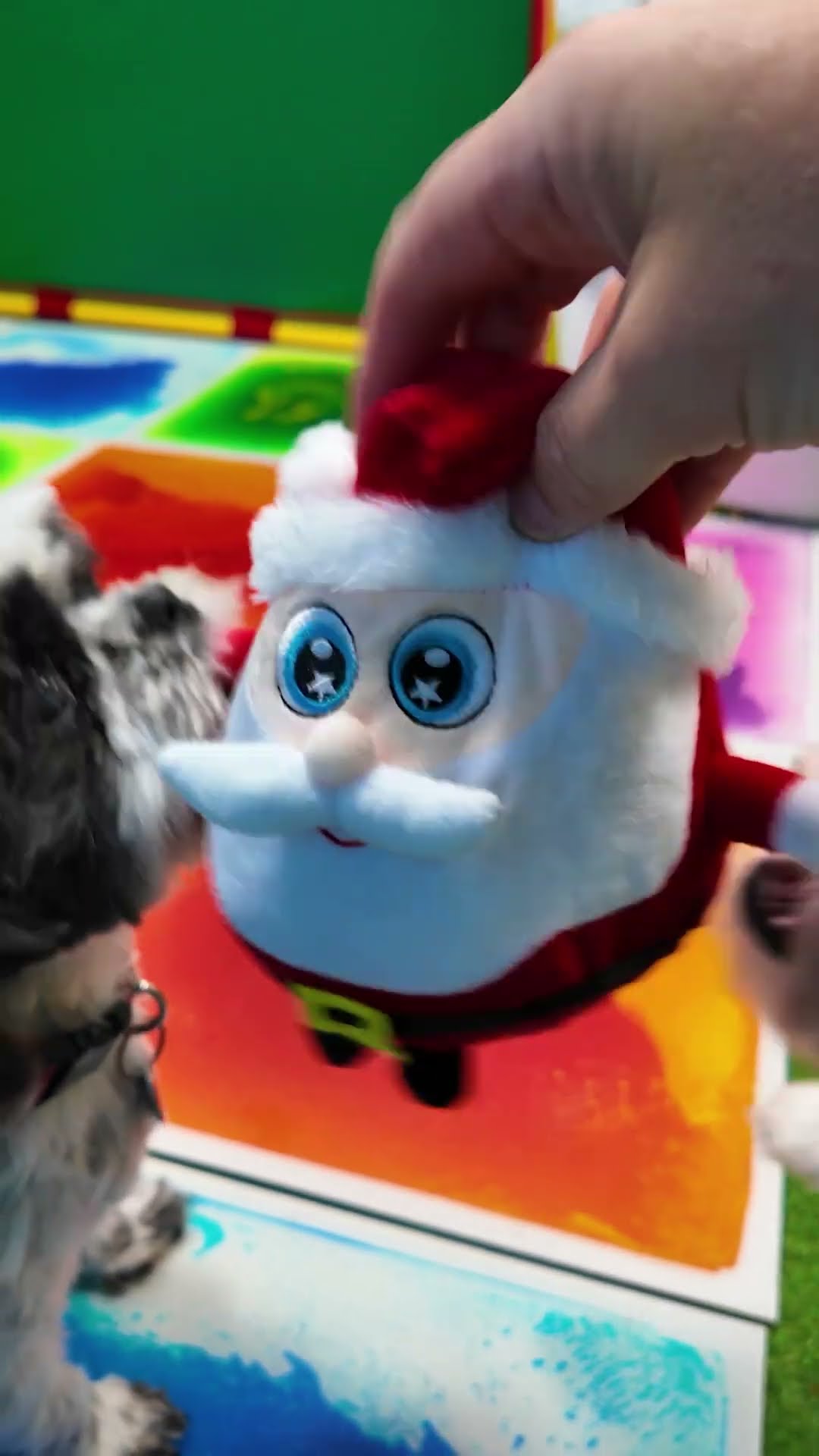 Assistant Plays with her Dogs Wiggles Waggles and Waffles with rolling Santa #FamilyFun #FunnyDogs