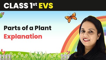 Class 1 EVS | Parts of a Plant - Explanation