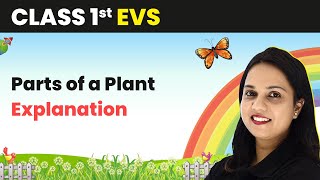 Class 1 EVS | Parts of a Plant - Explanation