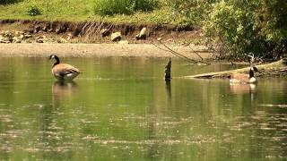 Hometown Spotlight: The hidden history of Green Springs’ famous mineral spring